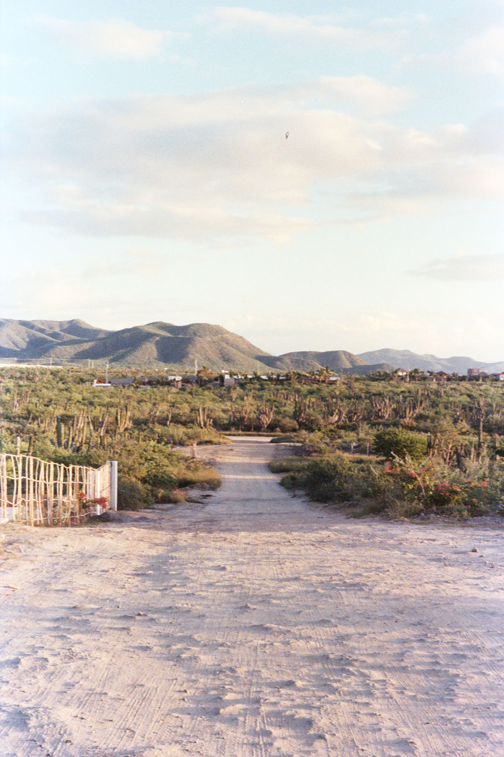 Analog on the Road 18