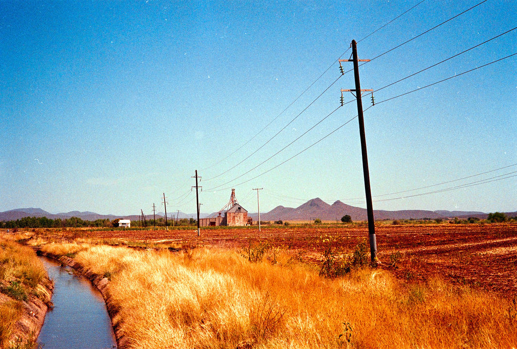 Analog on the Road 81