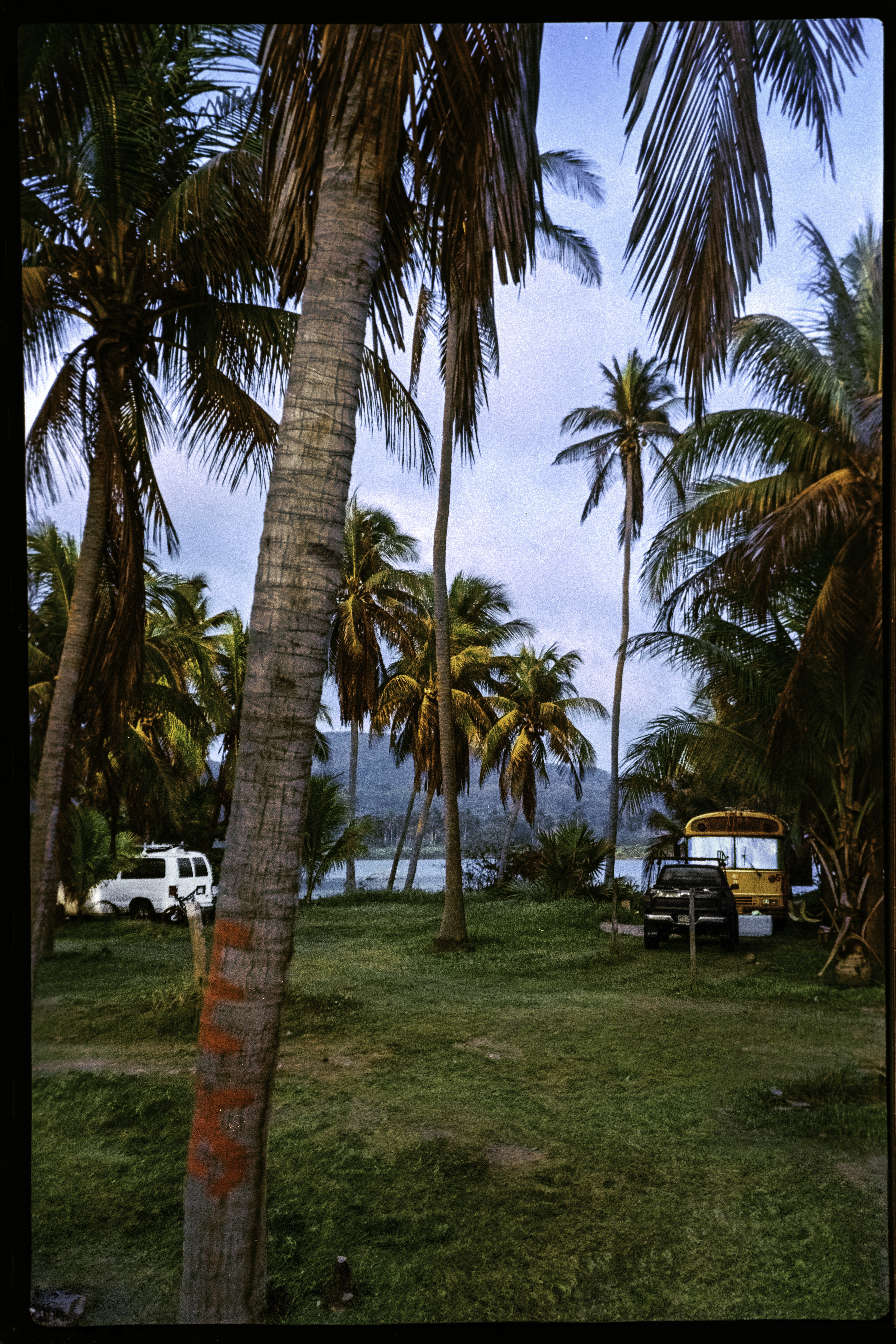 Análogo Playero