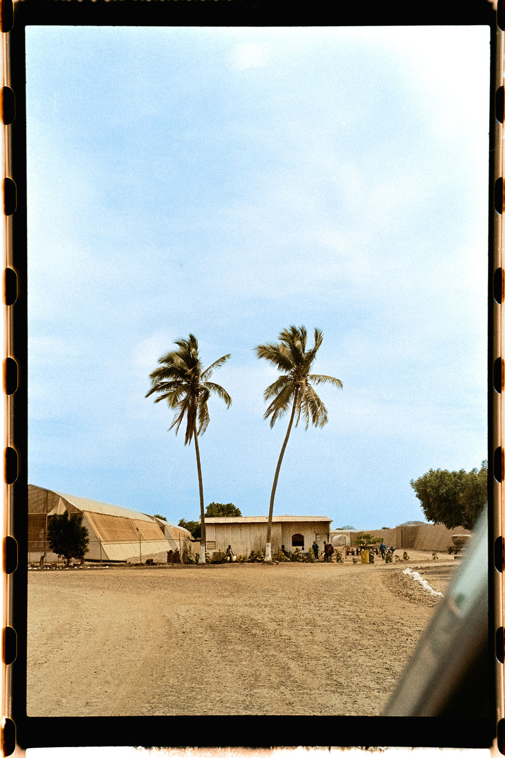 Análogo Playero 16