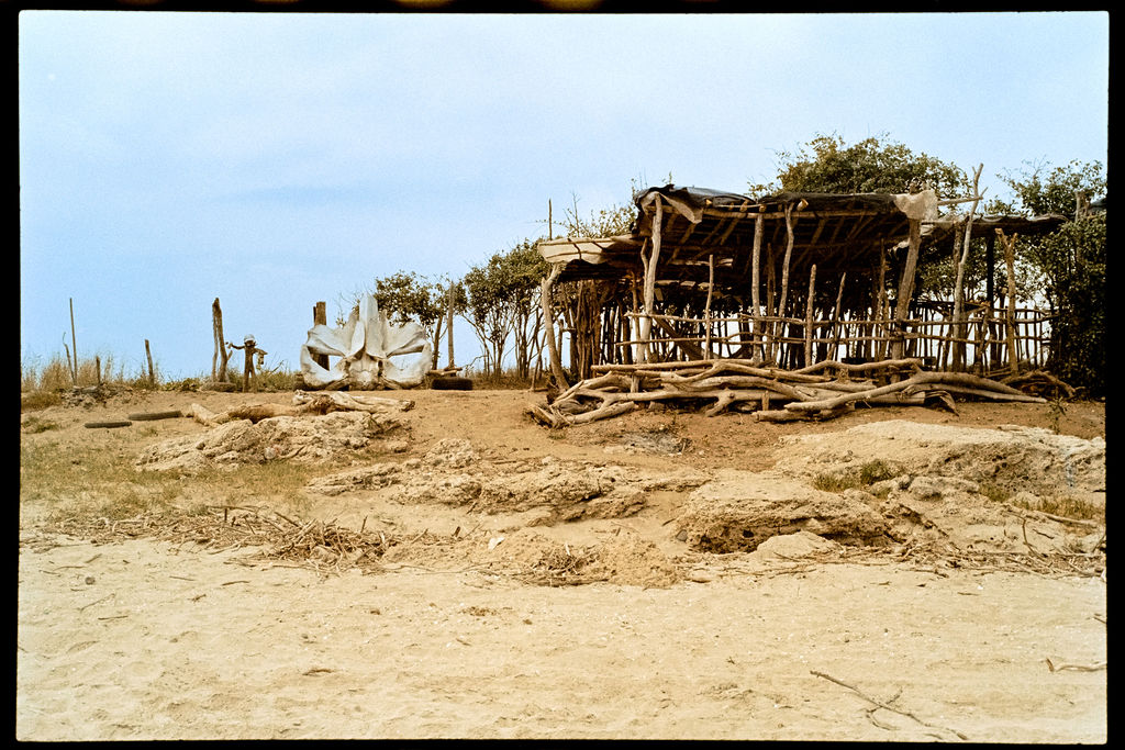 Análogo Playero 17