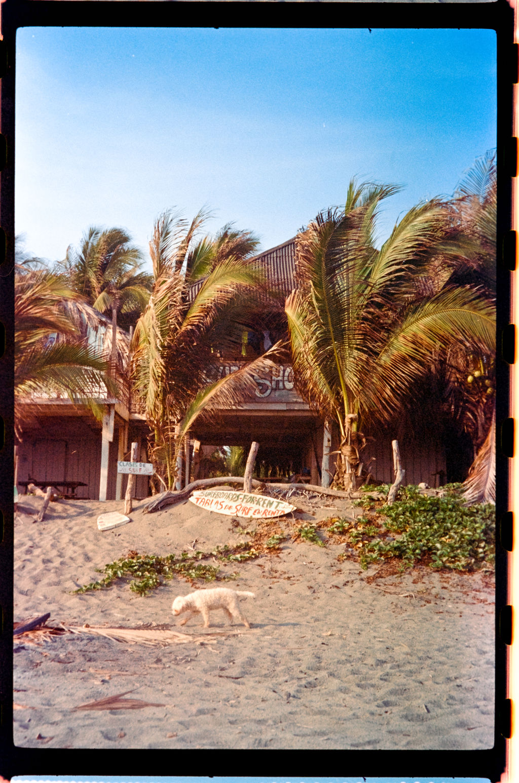 Análogo Playero 55
