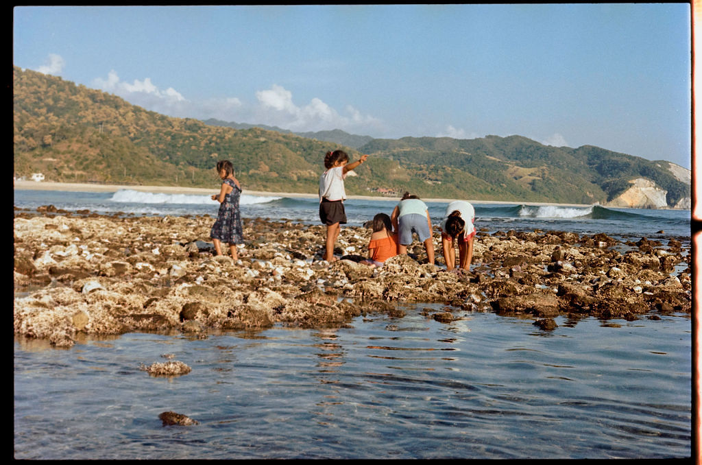 Análogo Playero 2