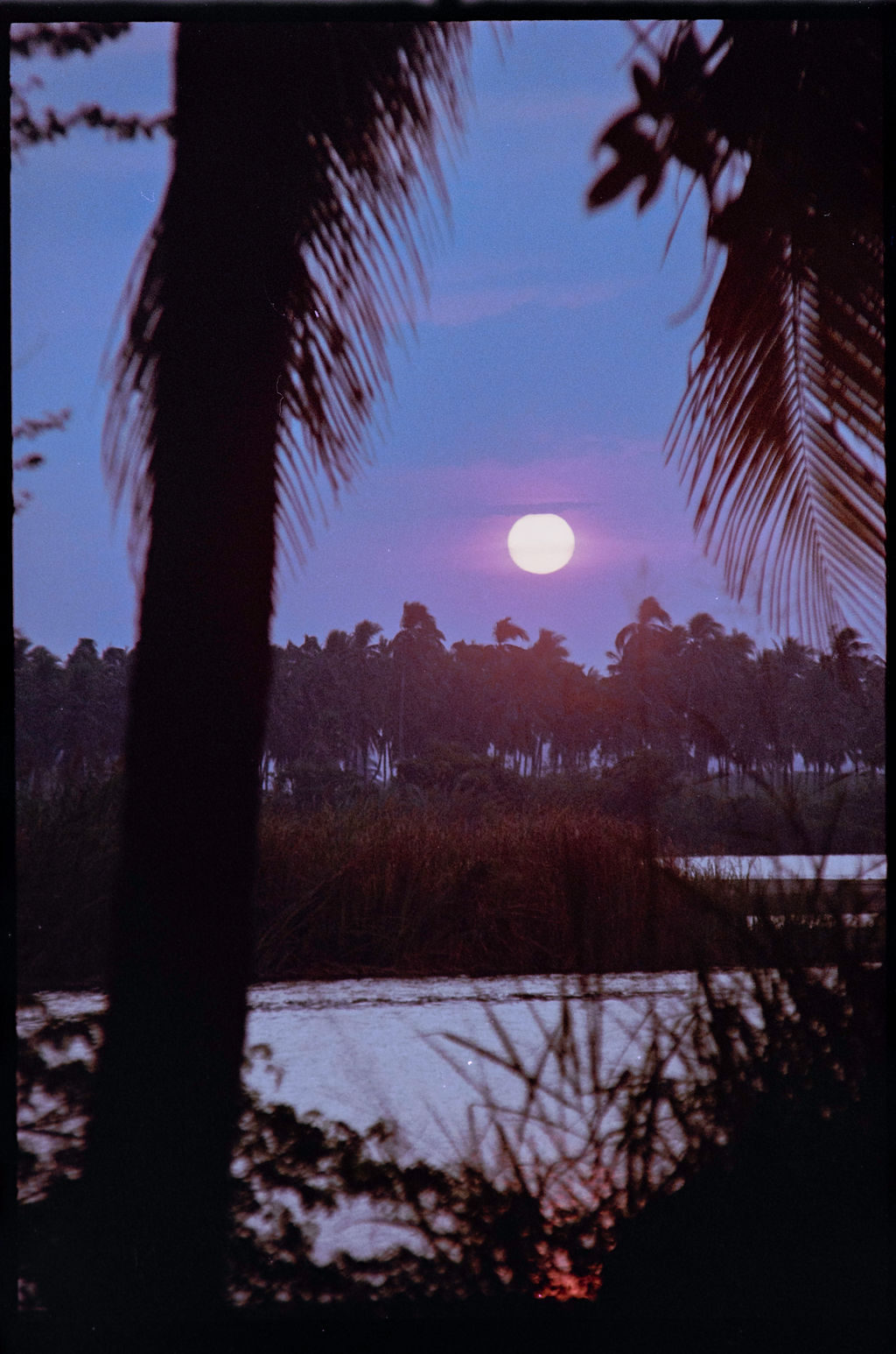 Análogo Playero 3