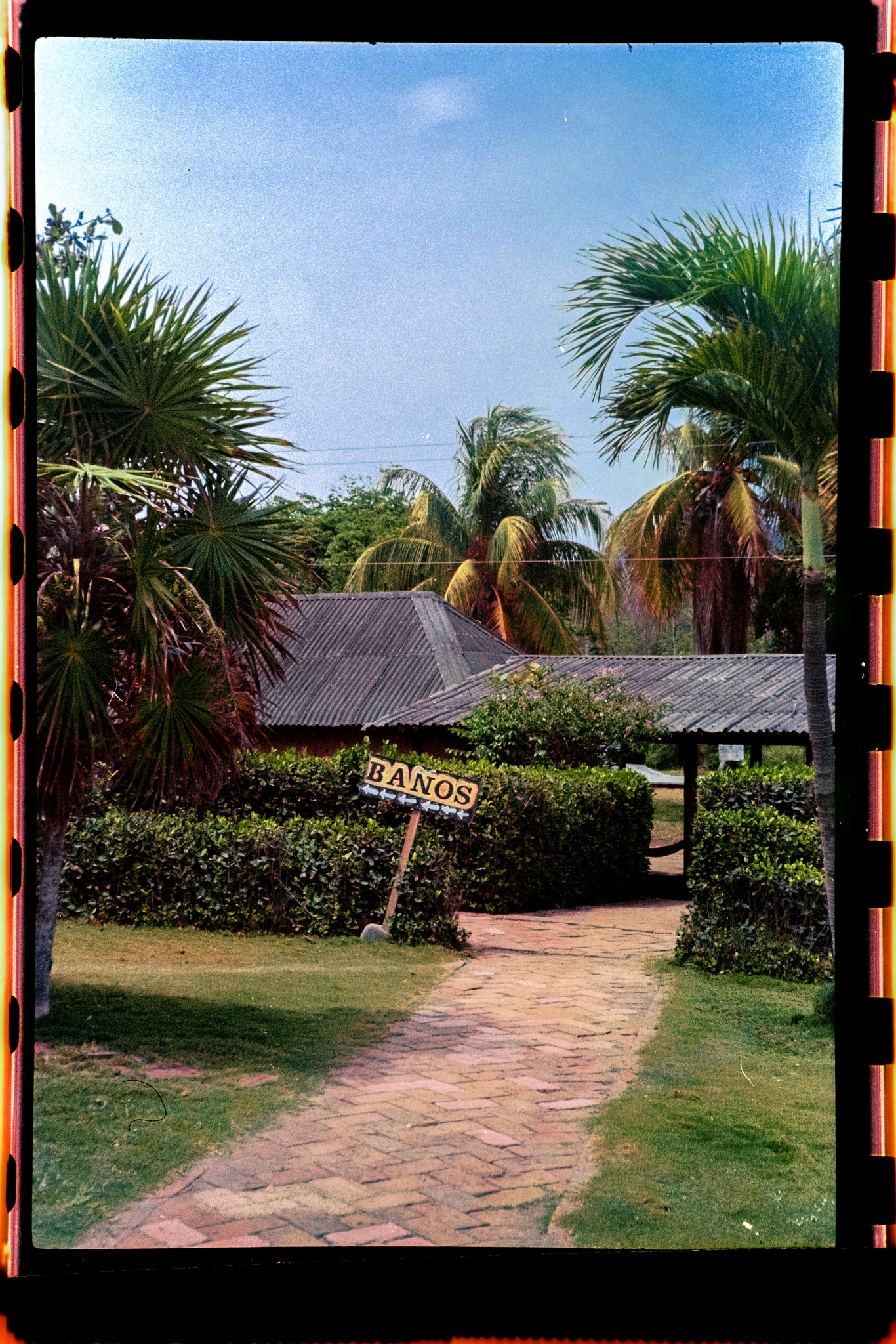 Análogo Playero 66