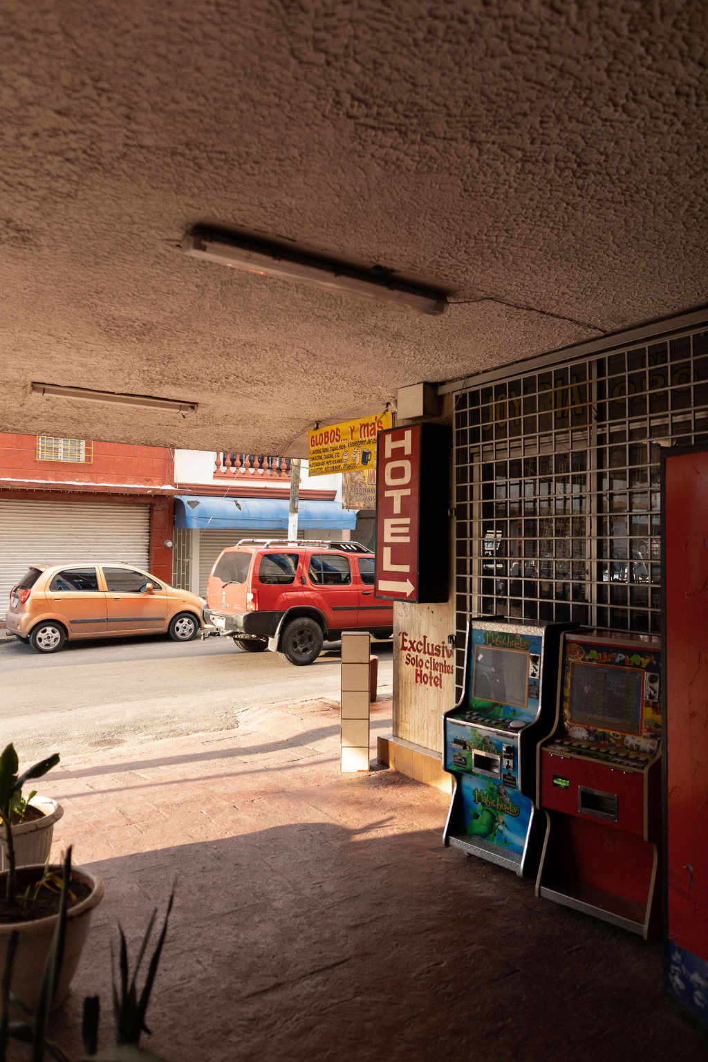 Arriba el Norte 6