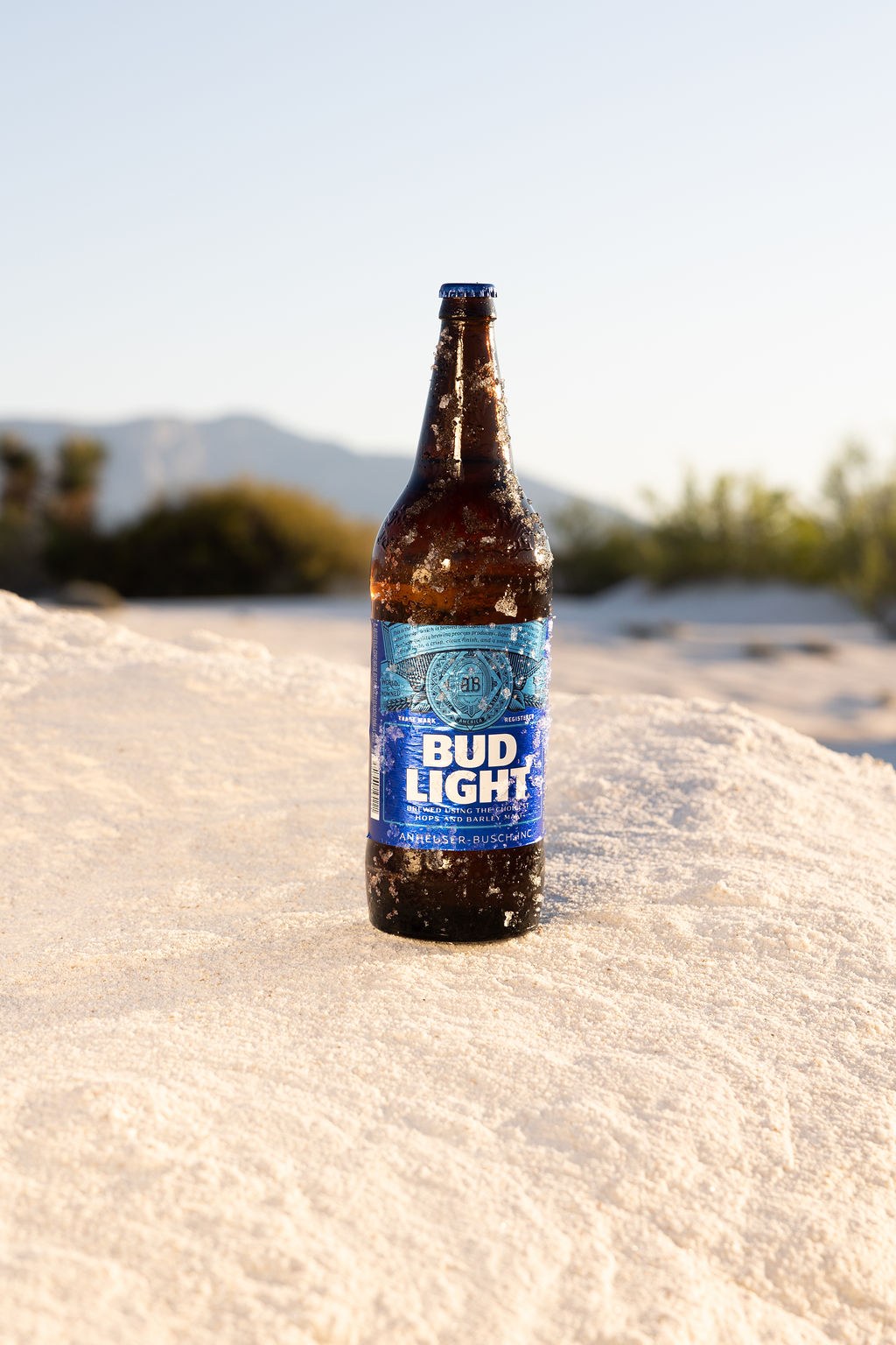 Budlight 11