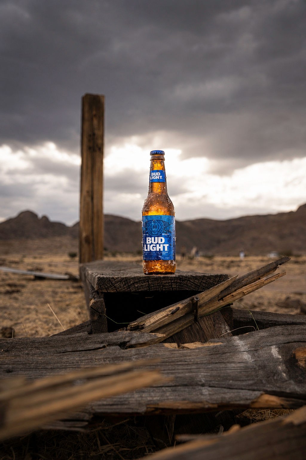 Budlight 26